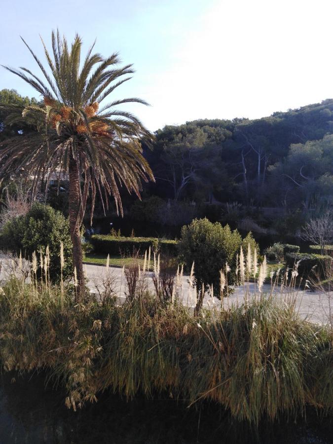 Appartement T2 Avec Piscine A 100 M De La Plage Six-Fours-les-Plages Eksteriør bilde