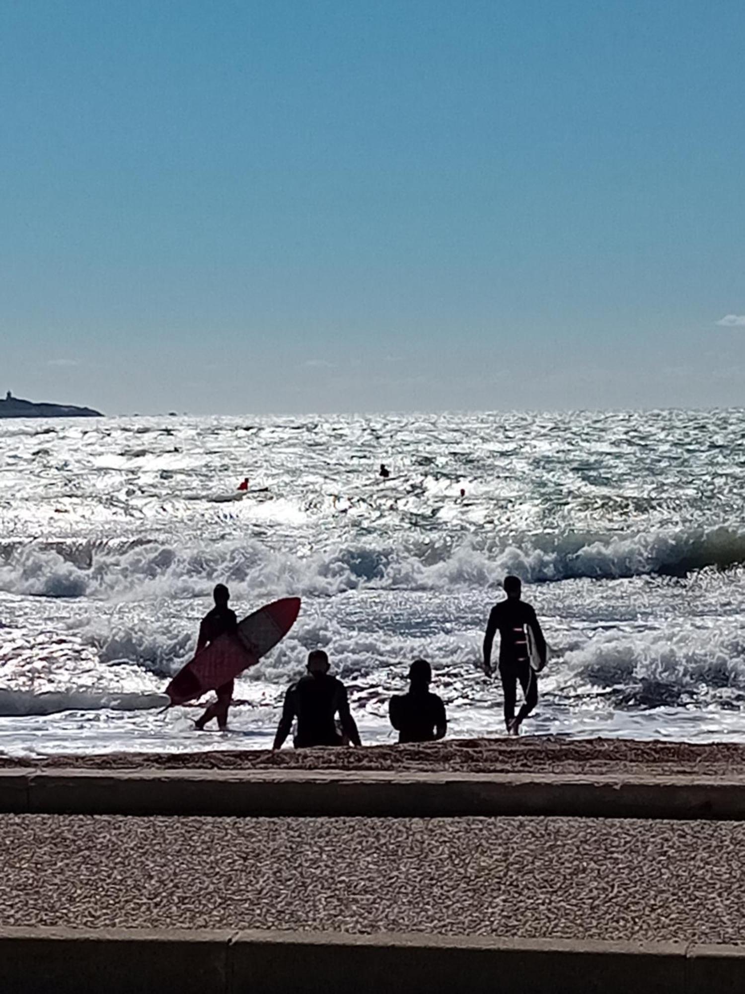 Appartement T2 Avec Piscine A 100 M De La Plage Six-Fours-les-Plages Eksteriør bilde